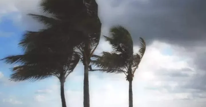 Marinha do Brasil emite alerta de ventos intensos para o litoral do Paraná