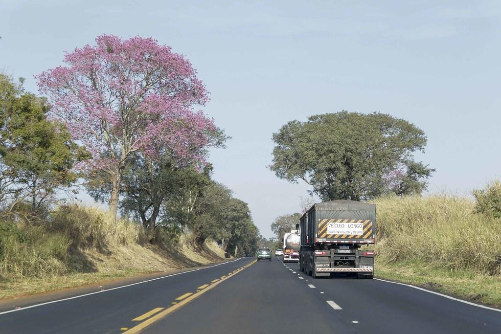 EPR Litoral Pioneiro recebe licença ambiental para projeto de duplicação da BR-153