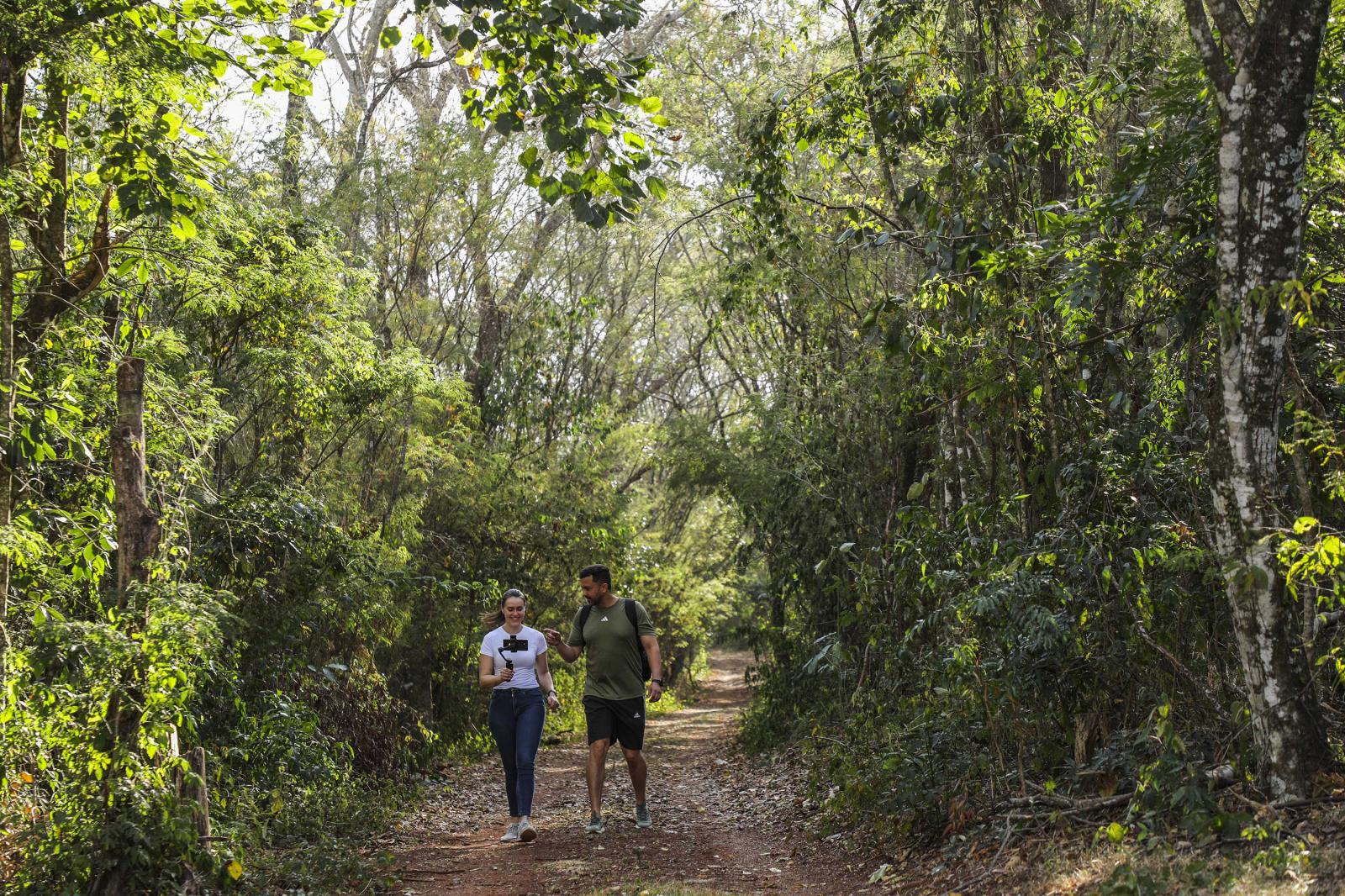 Aventura na mata: cinco trilhas para explorar nas Unidades de Conservação do Paraná