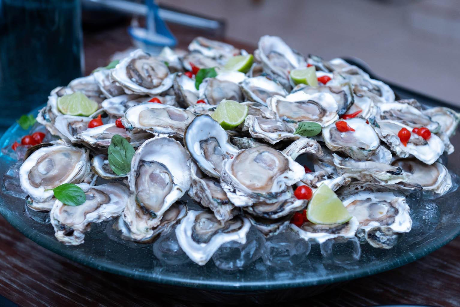 Ostras do Cabaraquara são o 22ª produto paranaense com Indicação Geográfica