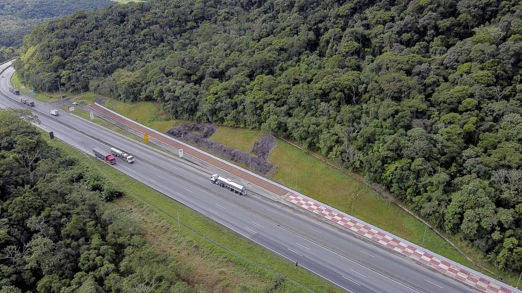 Área de escape da BR-277 recebe revitalização completa