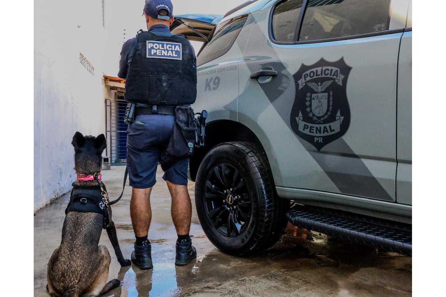 Cães da Polícia Penal reforçam segurança no Litoral durante o Verão Maior Paraná