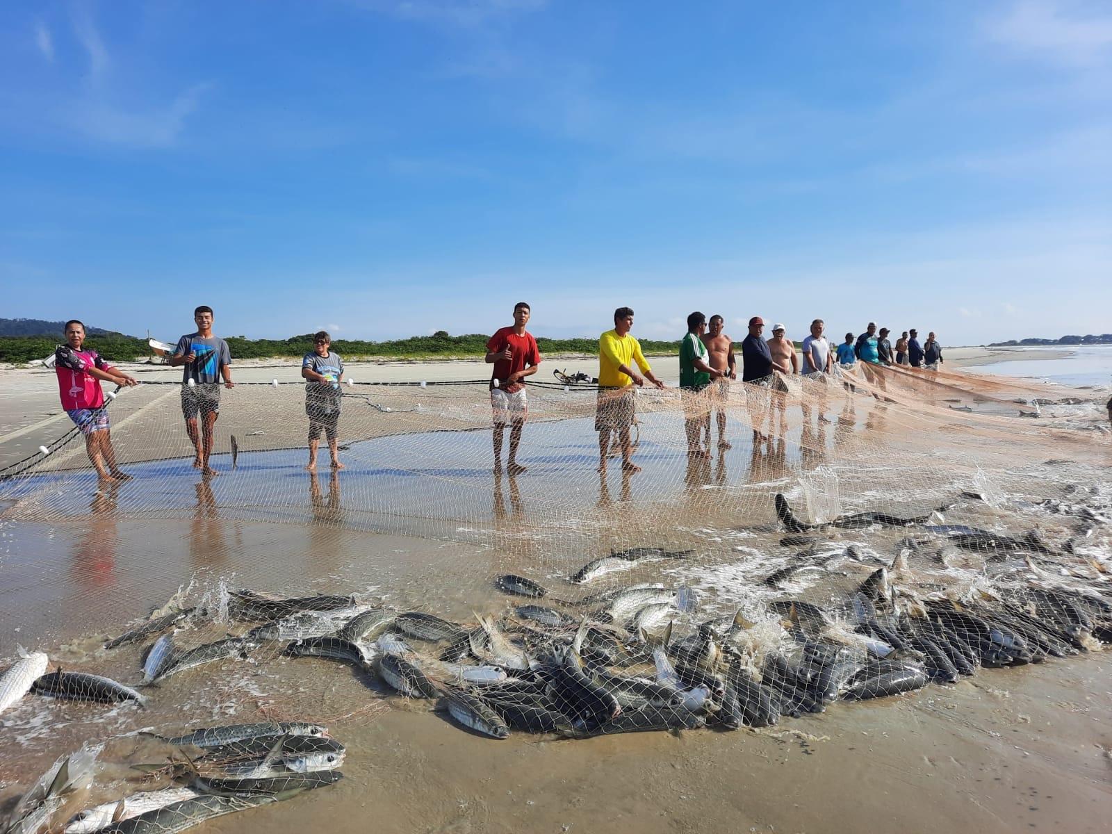 Ilha do Mel recebe durante o mês de julho a sua tradicional Festa da Tainha